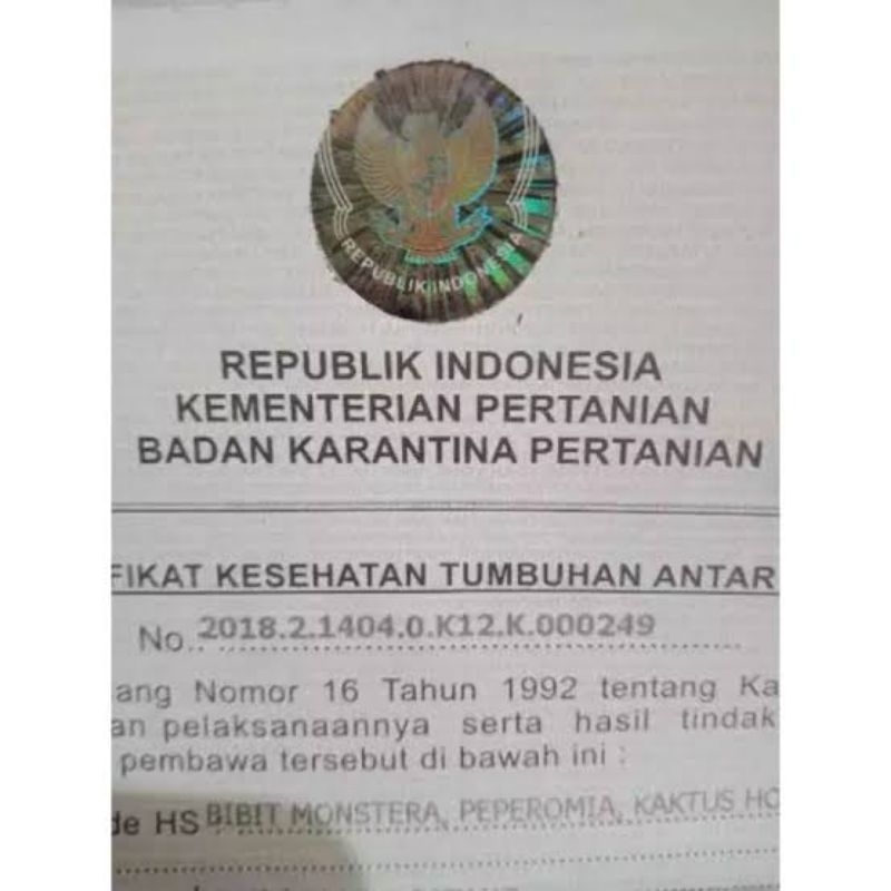 

SURAT KARANTINA BAGI PEMBELI DI LUAR PULAU KUSUS XPEDISI POS