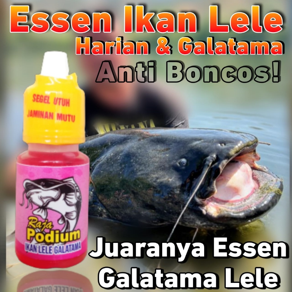 Essen Raja Podium Khusus Ikan Lele Harian Dan Lomba Essen Khusus Ikan Lele Paling Ampuh Essen Khusus