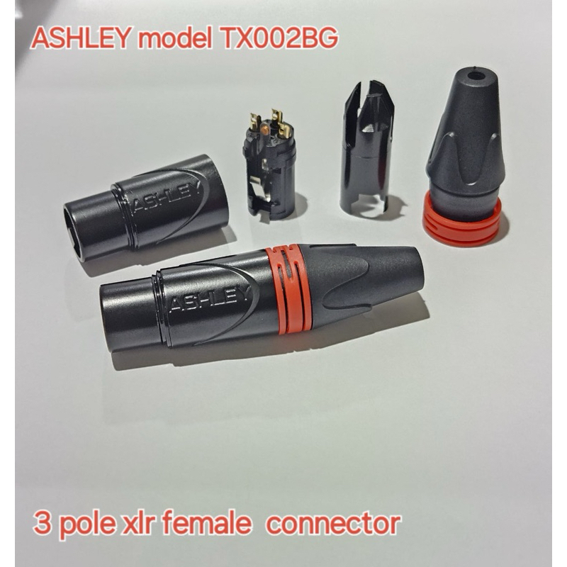 jack xlr cewek female ashley  / jack input canon ashley tx002bg