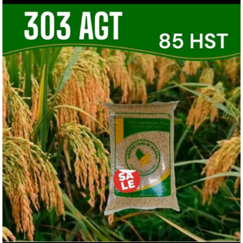 padi 303 AGT