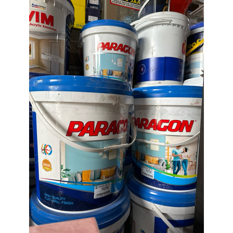 CAT TEMBOK PARAGON 20kg