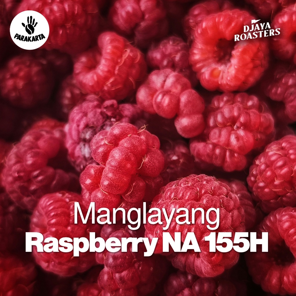 

Gewor Manglayang Raspberry NA155H