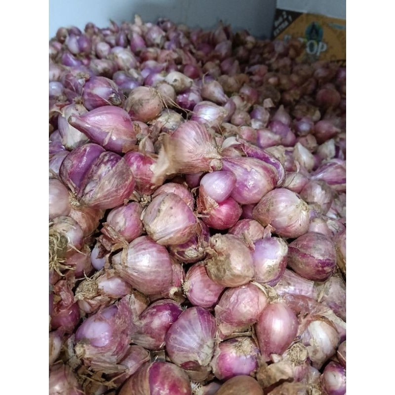 

Bawang merah Nganjuk Besar 1 Kg