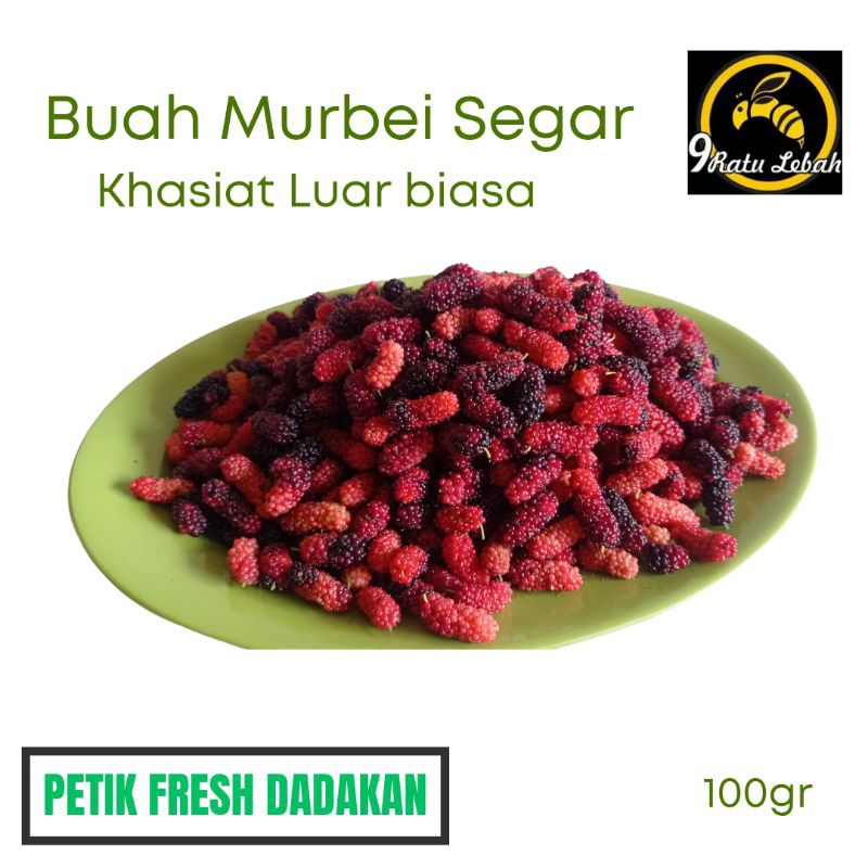Buah Murbei Segar - Superfood Alami Kaya Manfaat