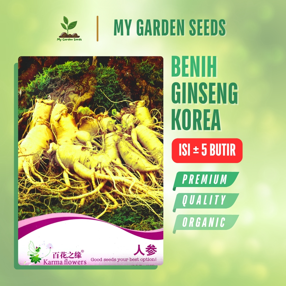 BENIH GINSENG KOREA KEMASAN IMPORT ± 5 BUTIR