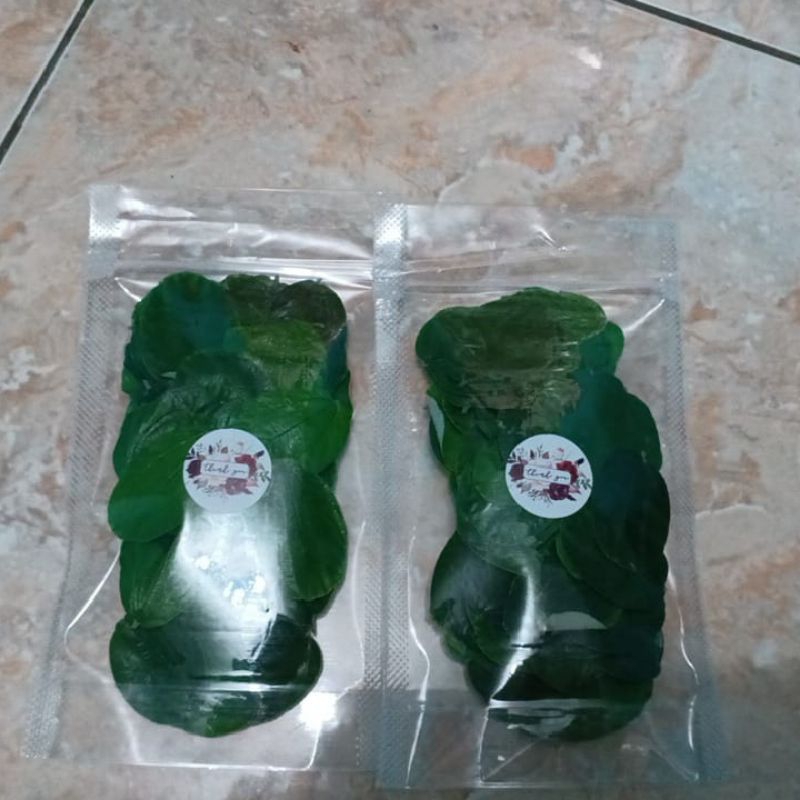 

daun bidara asli 50 lembar/pack