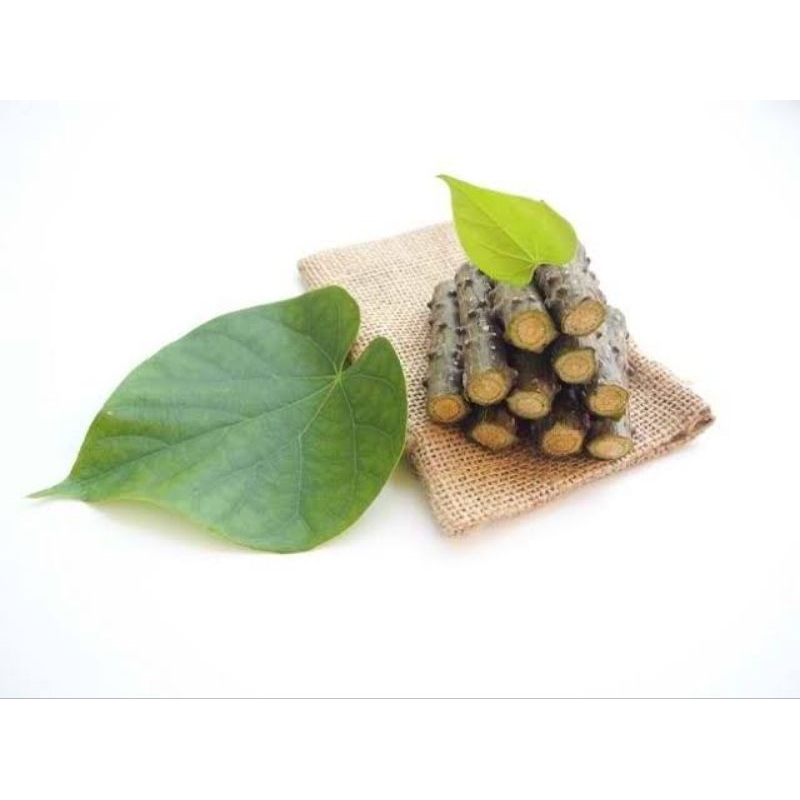 

BATRAWALI/BROTOWALI ASLI PAHIT UNTUK SAPIH