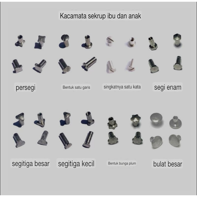 Mur baut kacamata Khusus bentuk