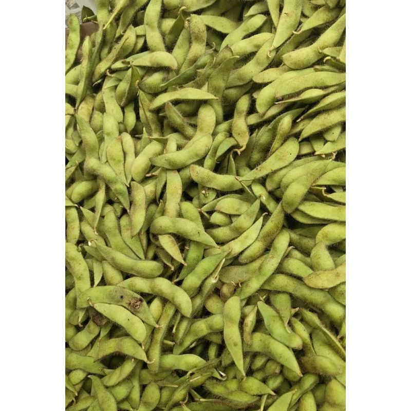 

EDAMAME 18.000/500GRAM