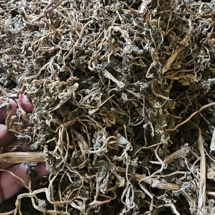 Seledri Kering - Daun Seledri Kering