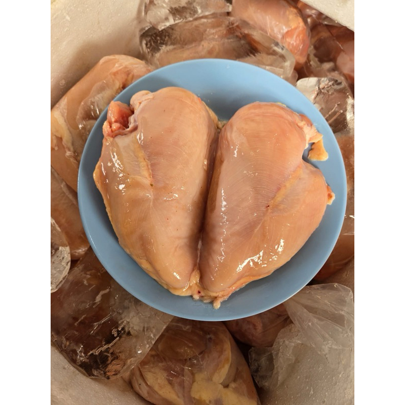 

ayam dada fillet fresh