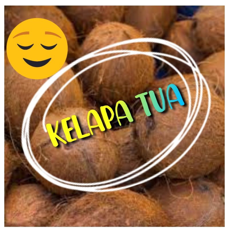 

KELAPA TUA 1 BUTIR