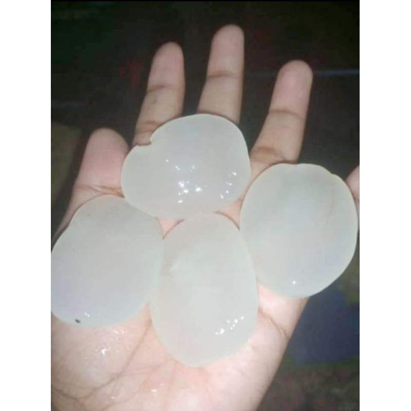 

Kolang Kaling Fresh Segar 1Kg/500gr