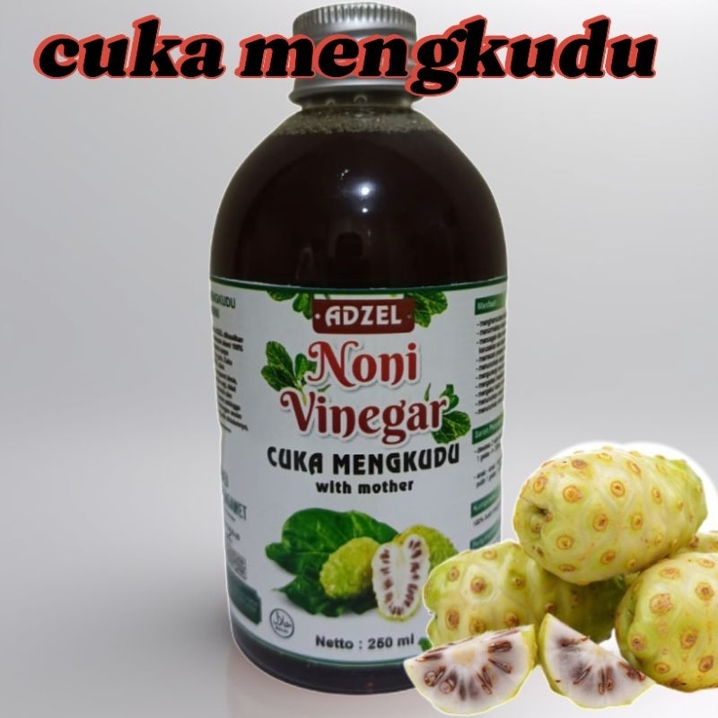 

cuka mengkudu adzel 250 ml - cuka mengkudu original - cuka mengkudu with mother - cuka mwngkudu penghancur batu ginjal
