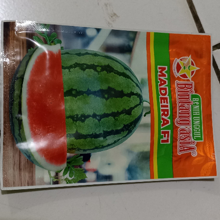 BENIH SEMANGKA MADEIRA F1 BINTANG ASIA - KEMASAN 20GR