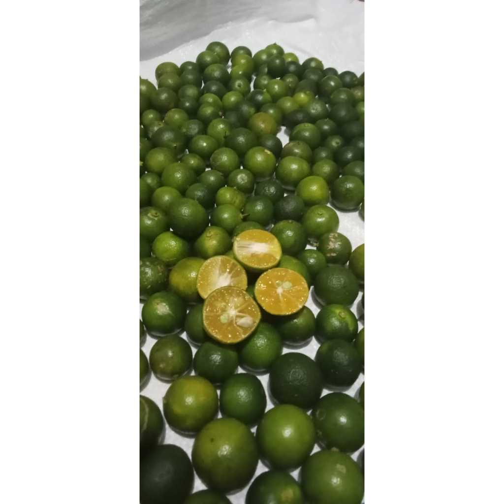 

250gram Jeruk kasturi/lemon cui/jeruk sonkit ukuran sedang