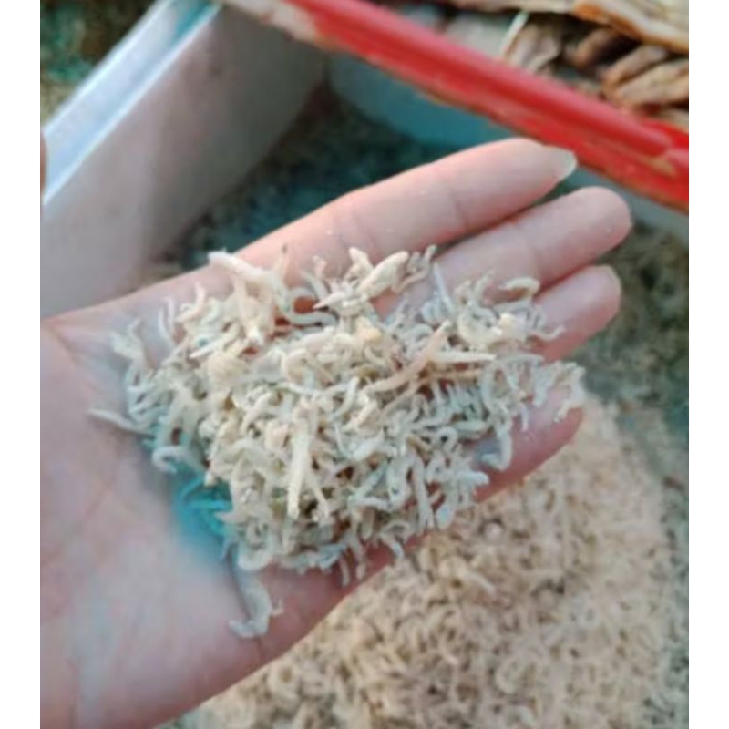 

Ikan teri medan lokal/ ikan teri putih kecil