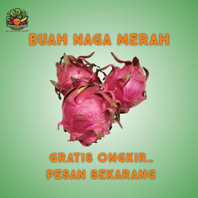 

BUAH NAGA MERAH