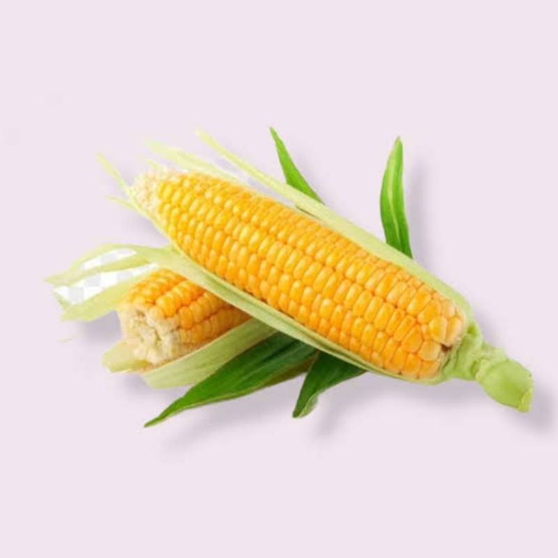 

Jagung segar fresh pasar pagi