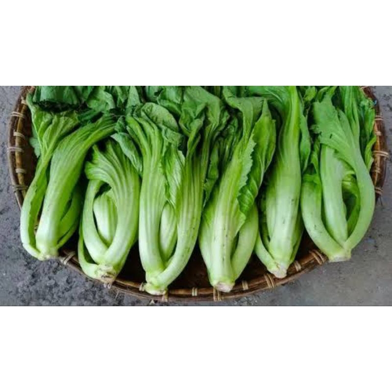 

sayur sawi pahit segar fresh pasar pagi