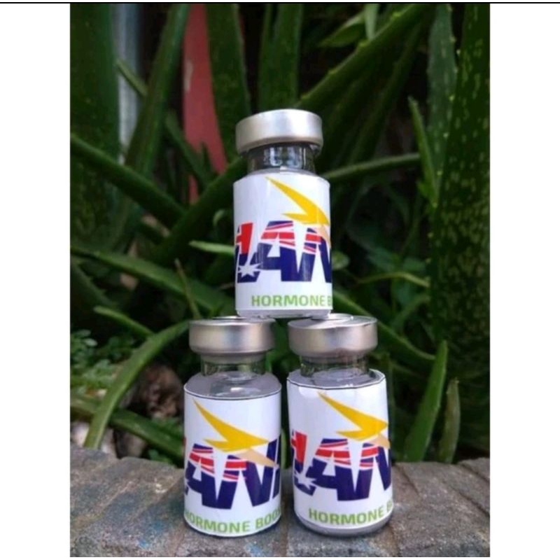 Hormon Lovebird Konslet MANNA HORMONE BOOSTER Mana Hormon