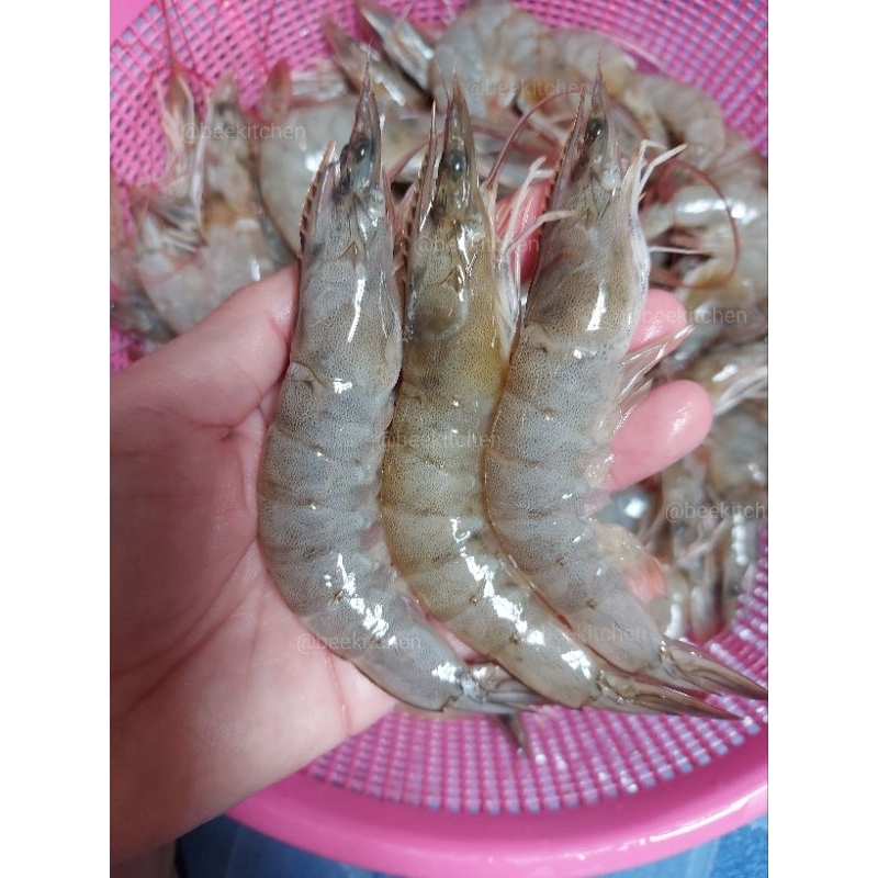 

Udang Vanamae size 60-70 ekor