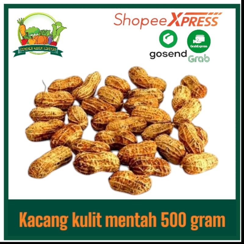 

kacang kulit mentah 500 gram