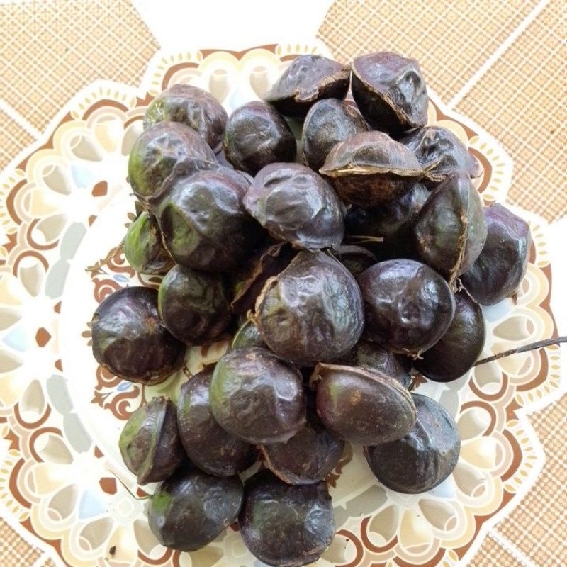 

Jengkol Gendut dan Kamek Cocok Untuk Gulai dan Goreng