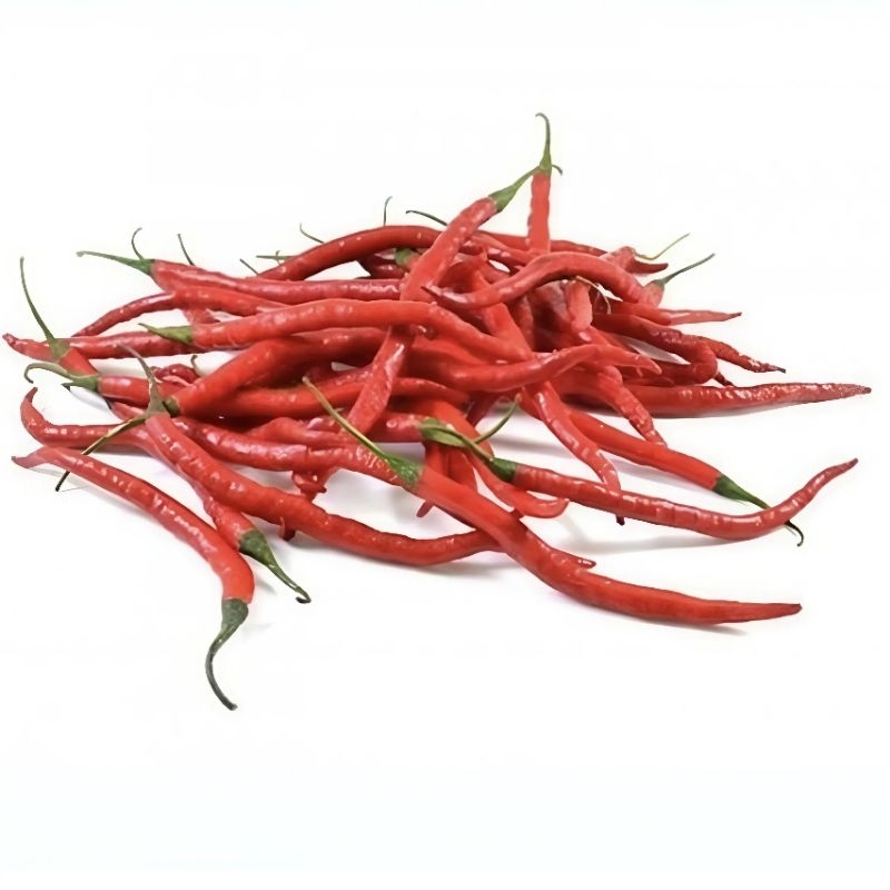 

Cabe Merah Keriting