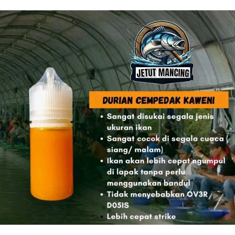 Essen ikan mas aroma durian campedak kweni V-1