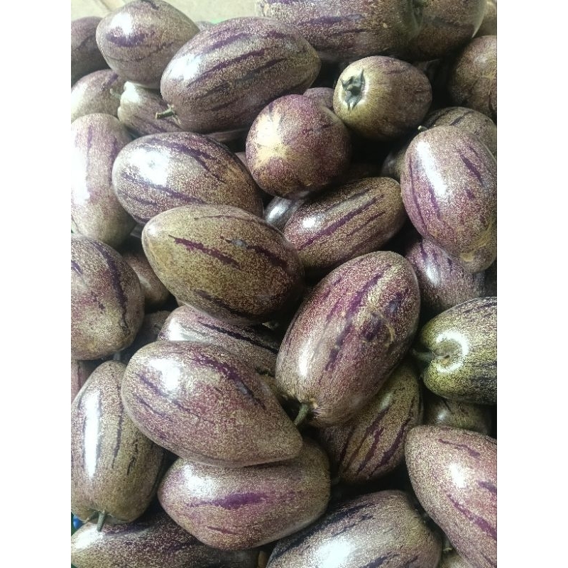 

Buah Pepino atau buah melody dalam 1kg