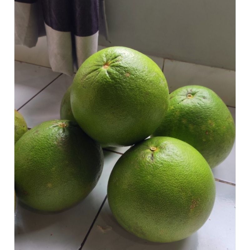 

Jeruk Pamelo Madu muria berat 1kg -1,3kg