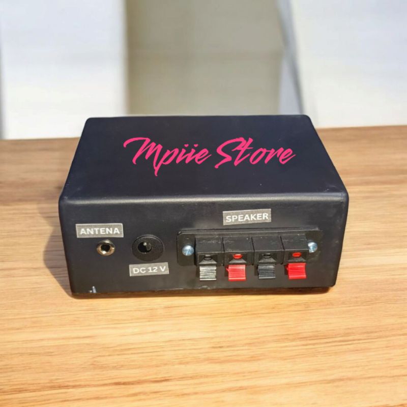 TERJAMIN Mini Amplifer Bluetooth Rakitan Stereo 2x30Watt 12Volt **