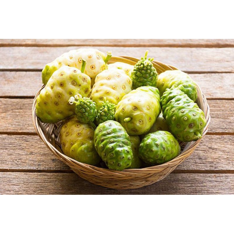 

buah mengkudu/Pace,5biji