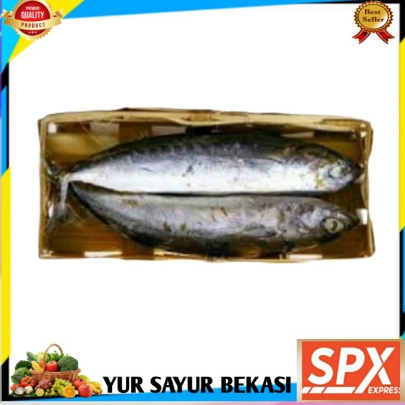 

Ikan Cue/Cuek Per Keranjang isi 2