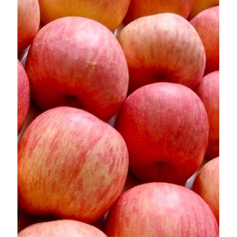 

Apel Fuji Manis 17kg