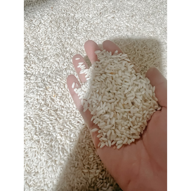 

BERAS KETAN PUTIH LOKAL SUPER