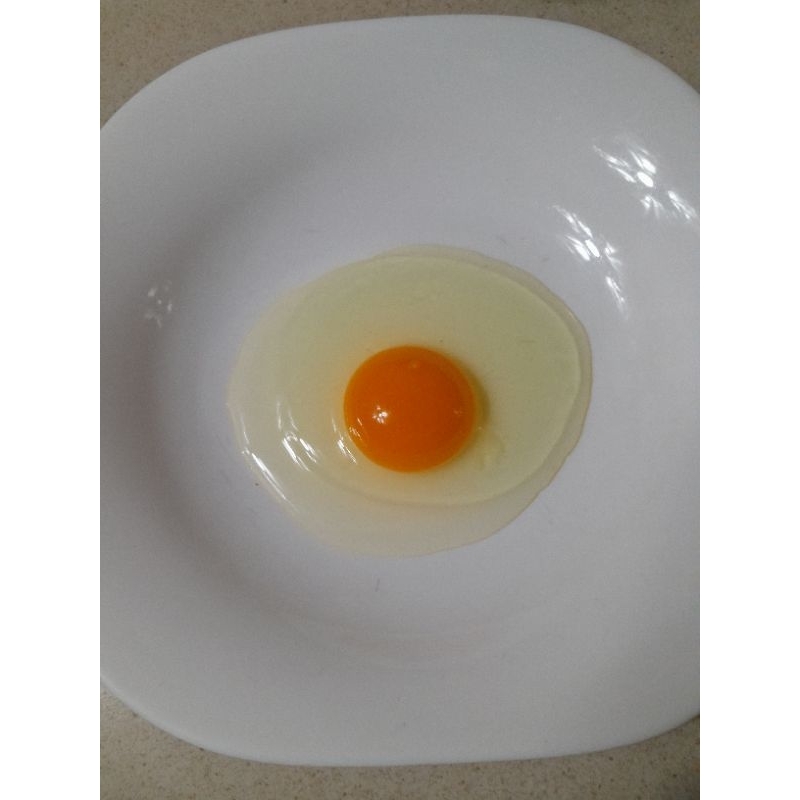 

Telur Omega 1/2kg