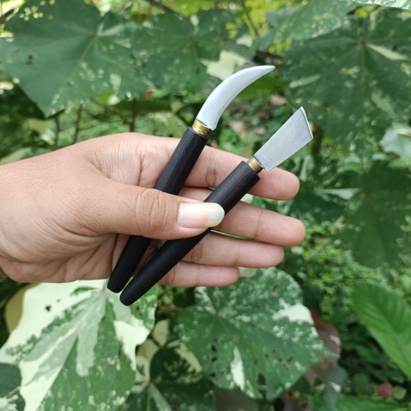 Paket Pisau Raut Bonsai / Poles bonsai pisau Okulasi / Pisau cangkok Stek tanaman