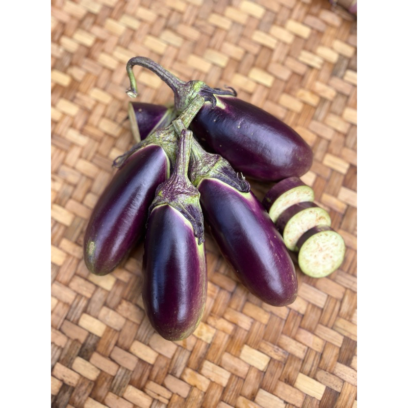 

Terong Ungu Premium 500 gram- Panen Harian dari Ladang Bu Ruk