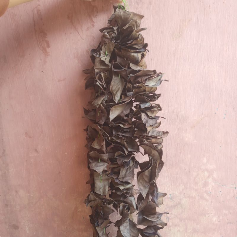 

Daun Salam Borneo Asli Kering – 1 Renteng ( Aromatik)