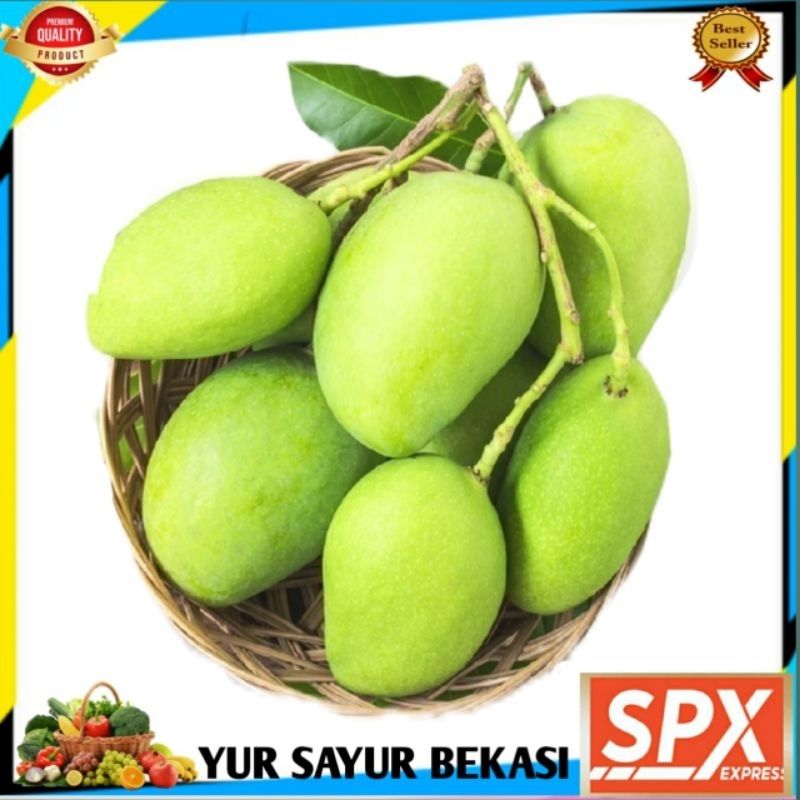 

Mangga Muda Rujak 500gr.