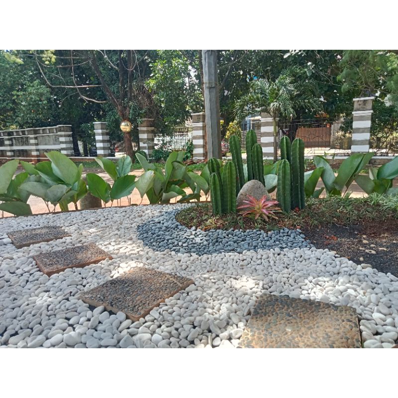 taman kering taman minimalis/batu koral putih