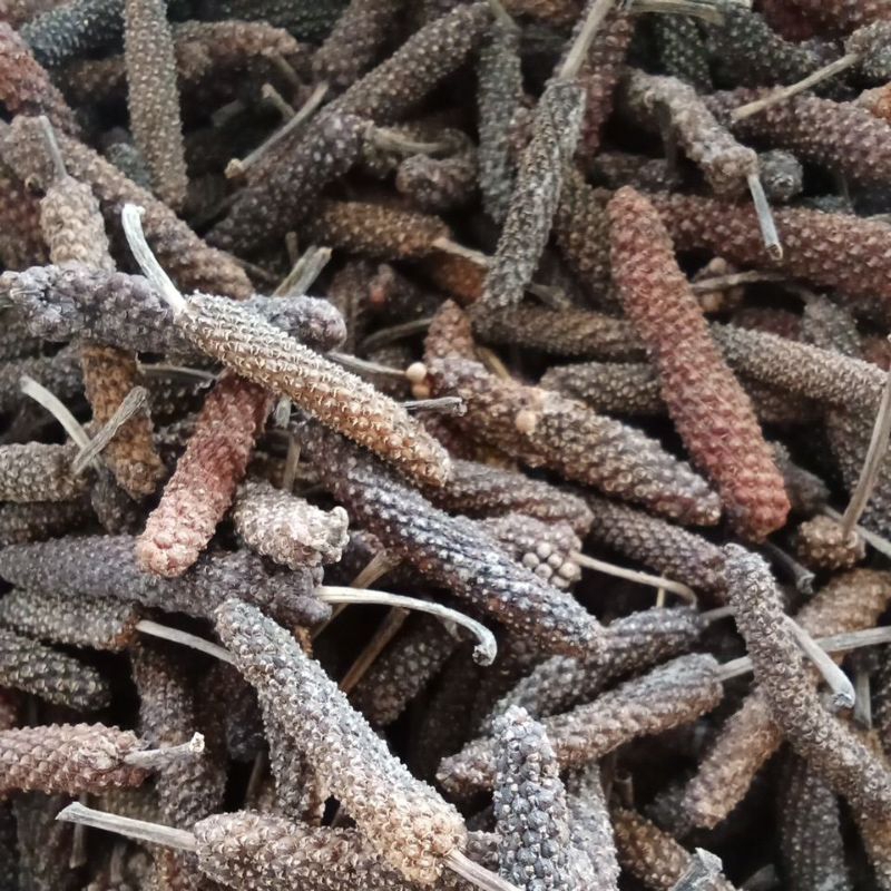 

REMPAH CABE JAWA / CABE PUYANG KEMASAN 100 GRAM