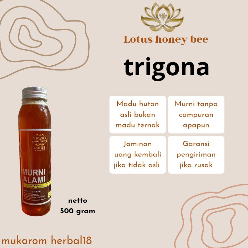 

Madu murni asli 100% dari hutan ujung kulon banten lotus honey bee trigona 500gram