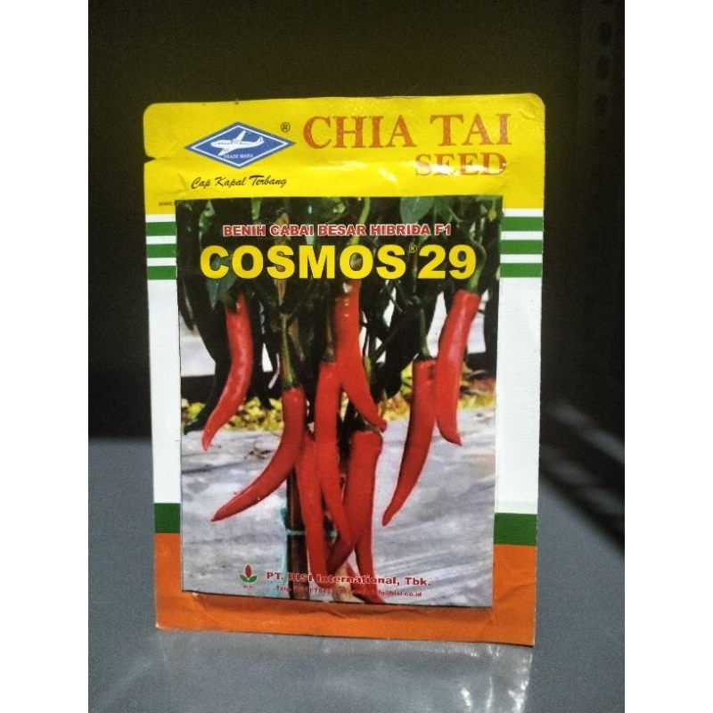Bibit cabai besar hibrida F1 cosmos 29 isi 10 gram