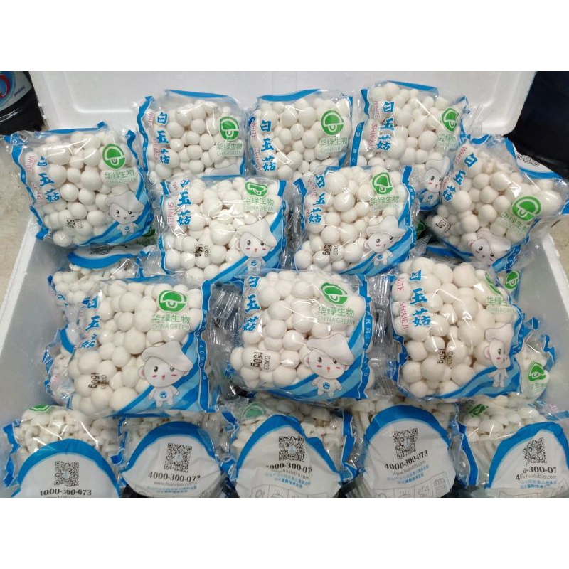 

Jamur Shimeji Putih 100gr