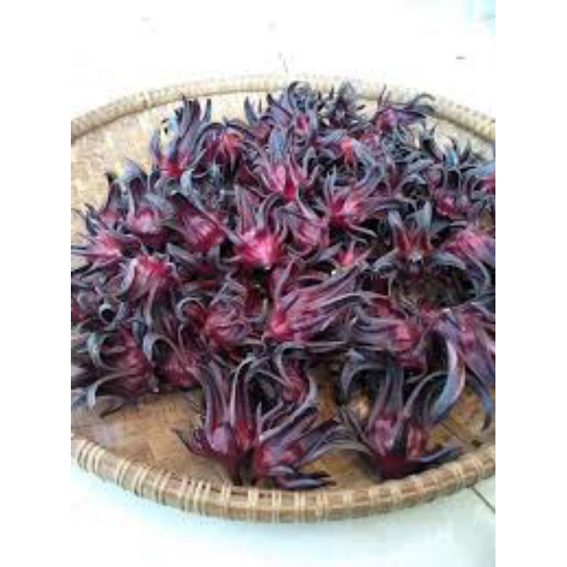 

Bunga Rosella ungu 500gram organik / Bunga rosella ungu premium / bunga rosella ungu / Rosella kering / Bunga rosella / herbal / darah tinggi / Rosella ungu