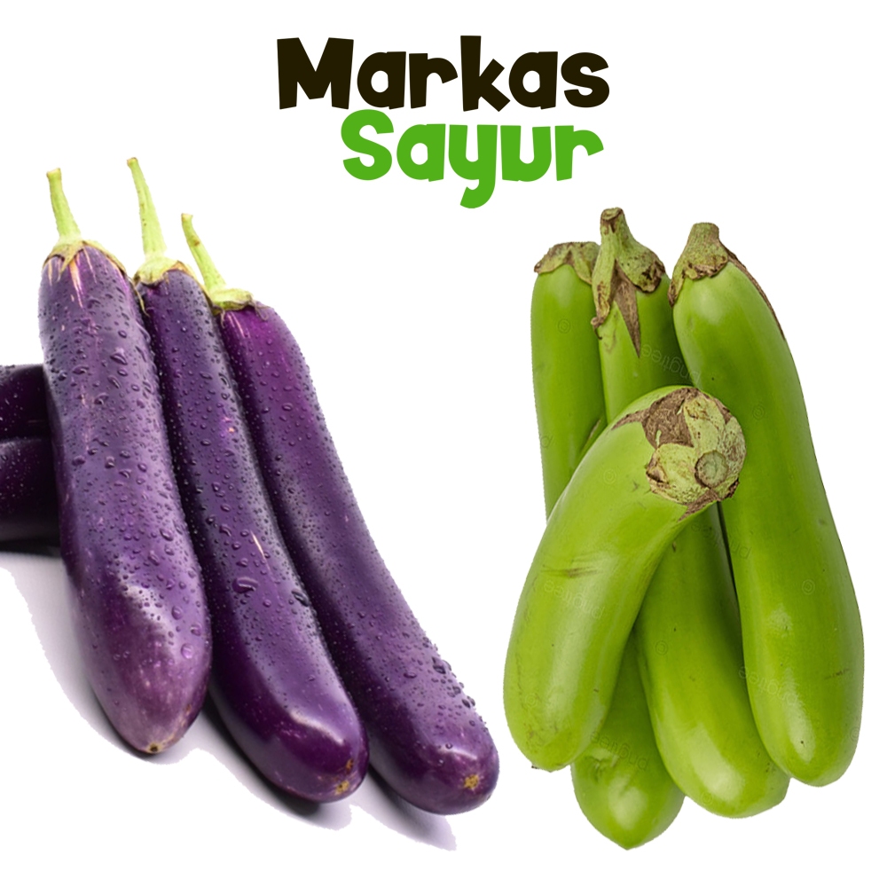 

Terong Ungu dan Hijau - Markas Sayur