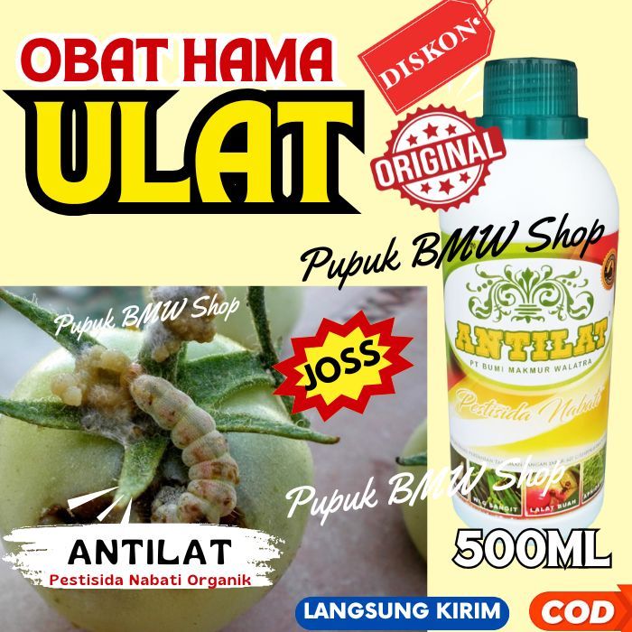 Pupuk Juga Obat Hama Tanaman Buah, Semua Jenis Hama / ANTILAT Obat Pembasmi Hama Lalat Buah / Obat H